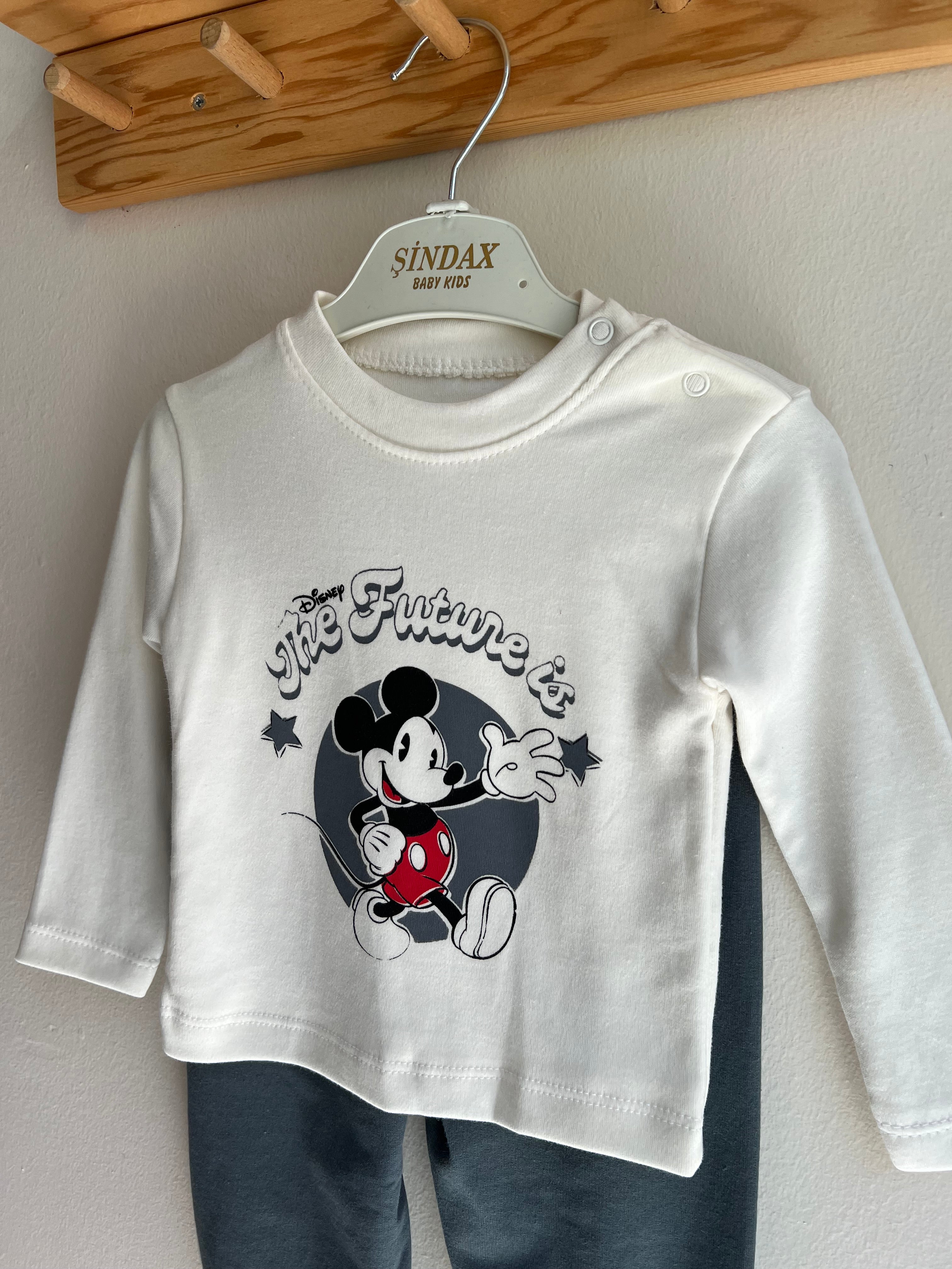Mickey Mouse Takım